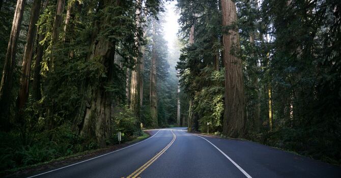 Easter Sunrise Service