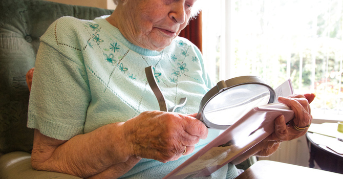 Visually Impaired Services